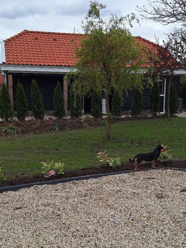 Gastenhuis Amstelmeerzicht. Westerland Eksteriør bilde